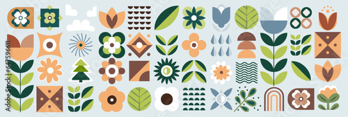 Abstract geometric food pattern. Natural organic flower plants shapes, eco agriculture concept