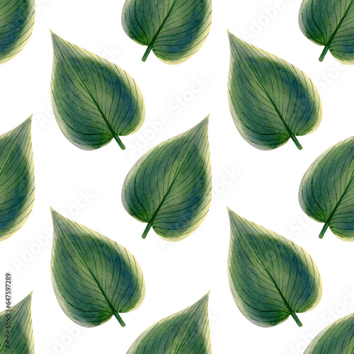 Obraz na plátne Seamless hosta Halcyon leaves pattern