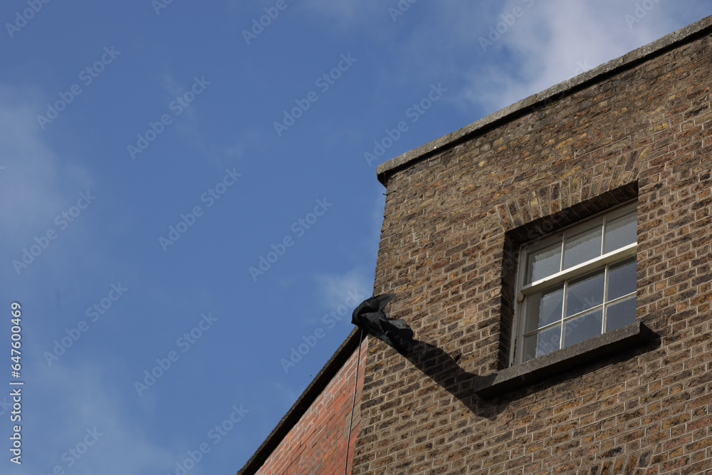 Building facade with window and blue sky