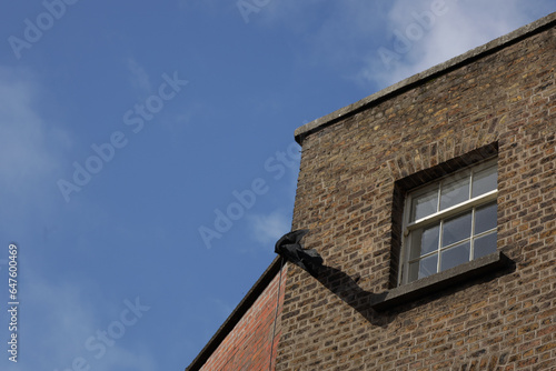 Building facade with window and blue sky