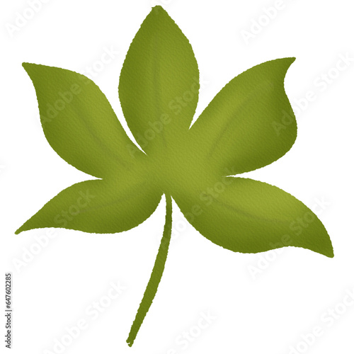 green leaf isolated on white