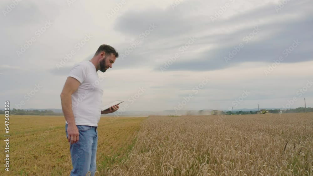 Male farmer with tablet computer in wheat field walking and checking wheat quality and job well done. Male farmer with tablet computer in wheat field walking and checking wheat quality and job well done.