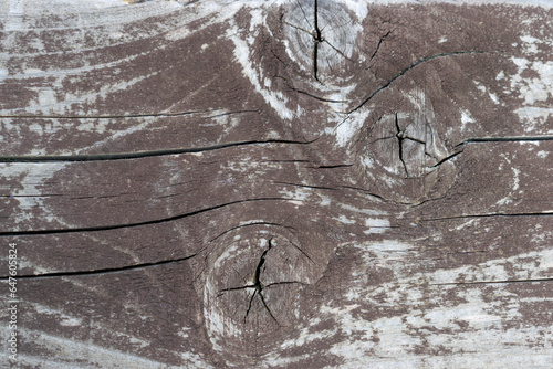 Gray aged wood background close up