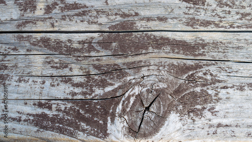 Gray aged wood background close up