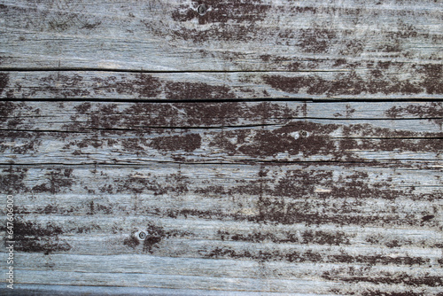 Gray aged wood background close up.