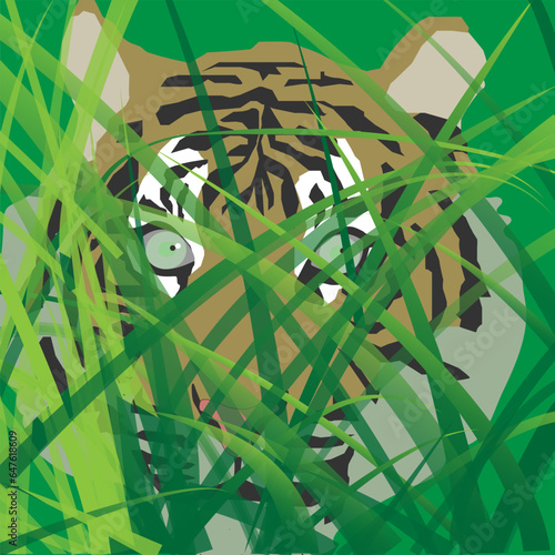 A Tiger Behind The Grasses