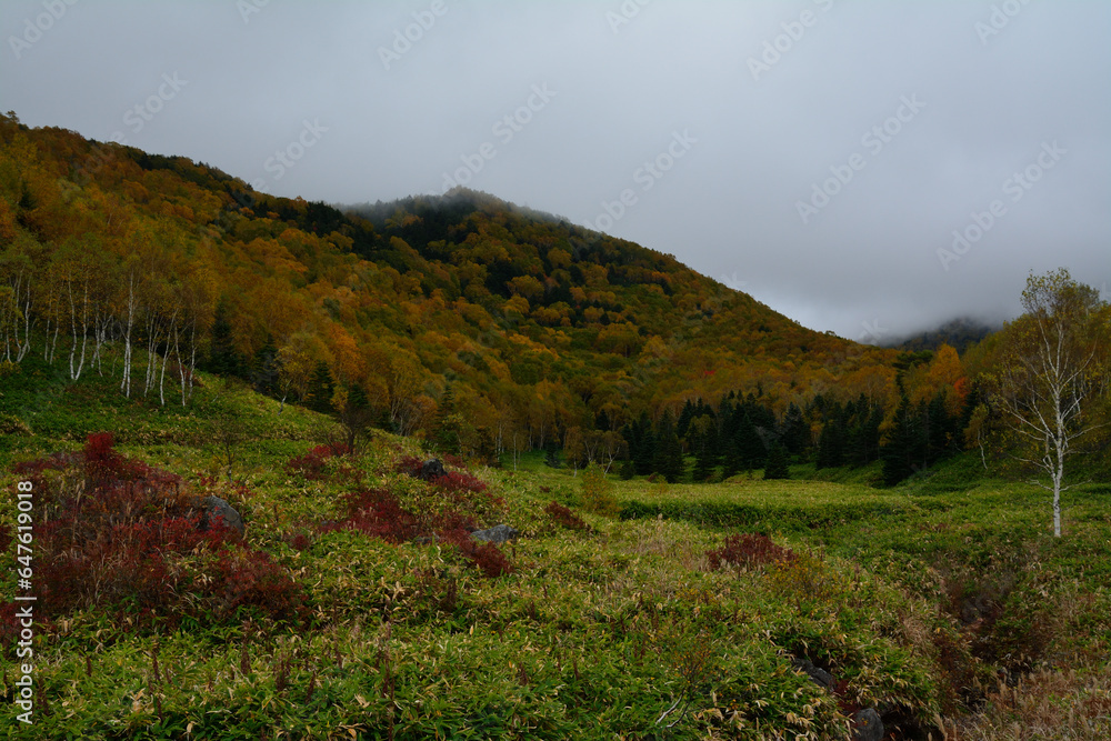 色とりどりの日本の秋の景色 山 紅葉 絶景 志賀高原