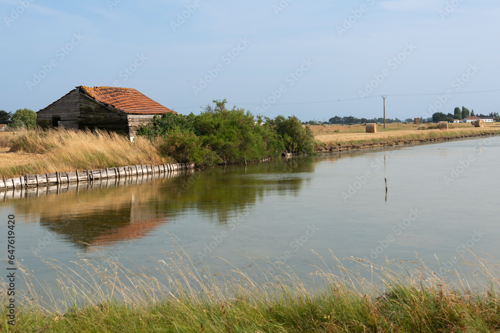 Beauvoir sur Mer , Marais Breton, Vendée,  85, France