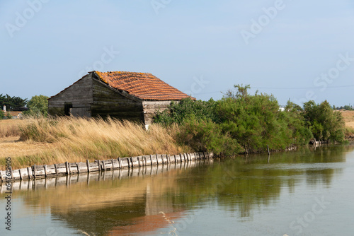 Beauvoir sur Mer , Marais Breton, Vendée, 85, France