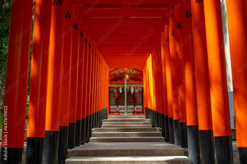 Fototapeta premium Ikuta Shrine , Shinto Shrine in Kobe during summer at Kobe Honshu , Japan : 2 September 2019