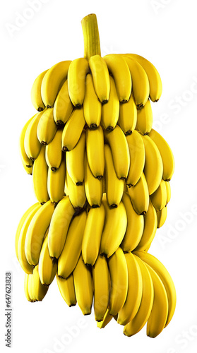 Bild auf Leinwand penca de bananas maduras isolado em fundo transparente - cacho de banana