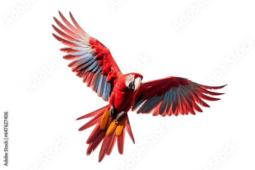 Multi-Color Macaw in Flight Isolated on Transparent Background - Generative AI