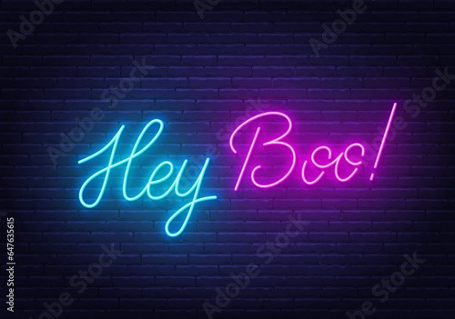 Hey Boo neon lettering on brick wall background.