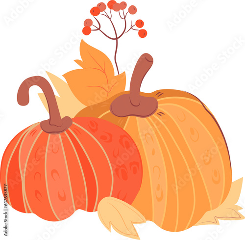Autumn composition of pumpkins, leaves and berries. Autumn harvest and Halloween pumpkin symbol.