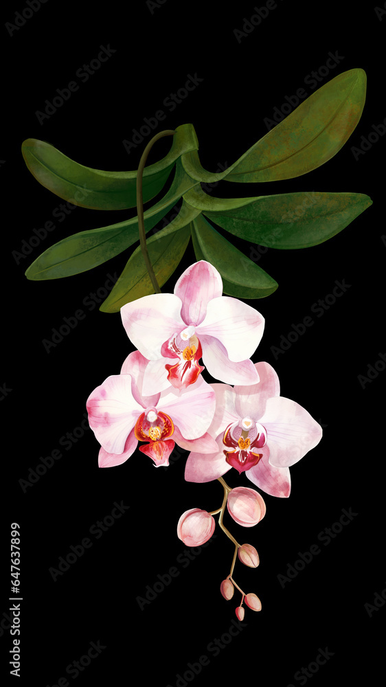 Naklejka premium Pink wild orchid flowers. Tropical plants and flowers on a white background, jungle.