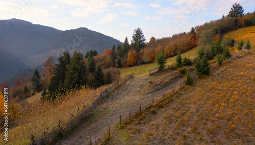Fall's Aerial Canvas: Painting the Mountains with Autumn Hues © maykal