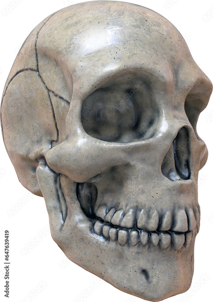 Obraz premium Skull Isolated on a Transparent Background