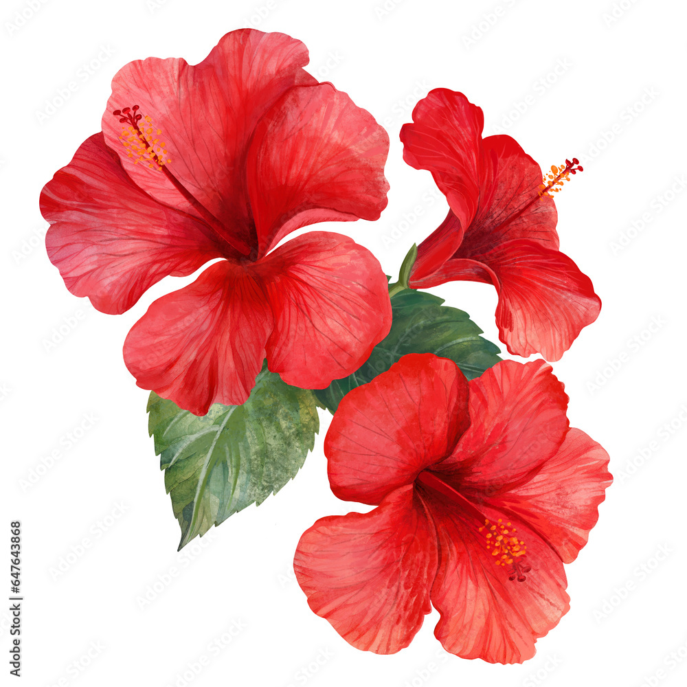 Tropical hibiscus flower. Leaves and flower of a wild plant. Tropics, jungle, Hawaii Tropical hibiscus flower. Leaves and flower of a wild plant. Tropics, jungle, Hawaii