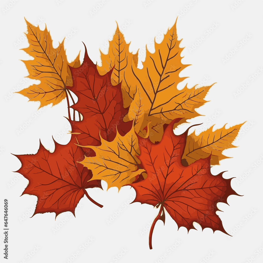 Maple leaf shrubby plants symbol of autumn a culture