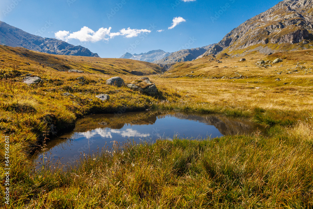 pond on alpine plateau of Greina, Surselva