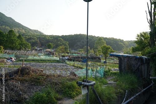 Canvas Print Guryong Village