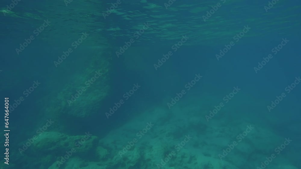 POV underwater shot, Camera moving forwards towards rocky shore, descending under water and rising above surface POV underwater shot, Camera moving forwards towards rocky shore, descending under water and rising above surface