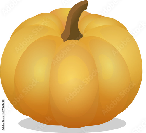 Yellow Pumpkin vector illustration. Autumn Halloween pumpkin, vegetable graphic icon or print, isolated on white background.
