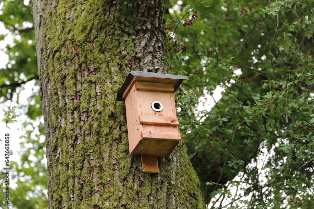 a birdhouse on the tree a birdhouse on the tree