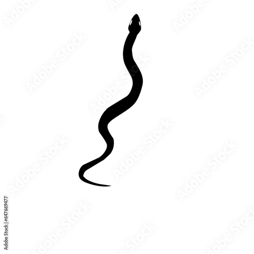 Silhouette of Snake 