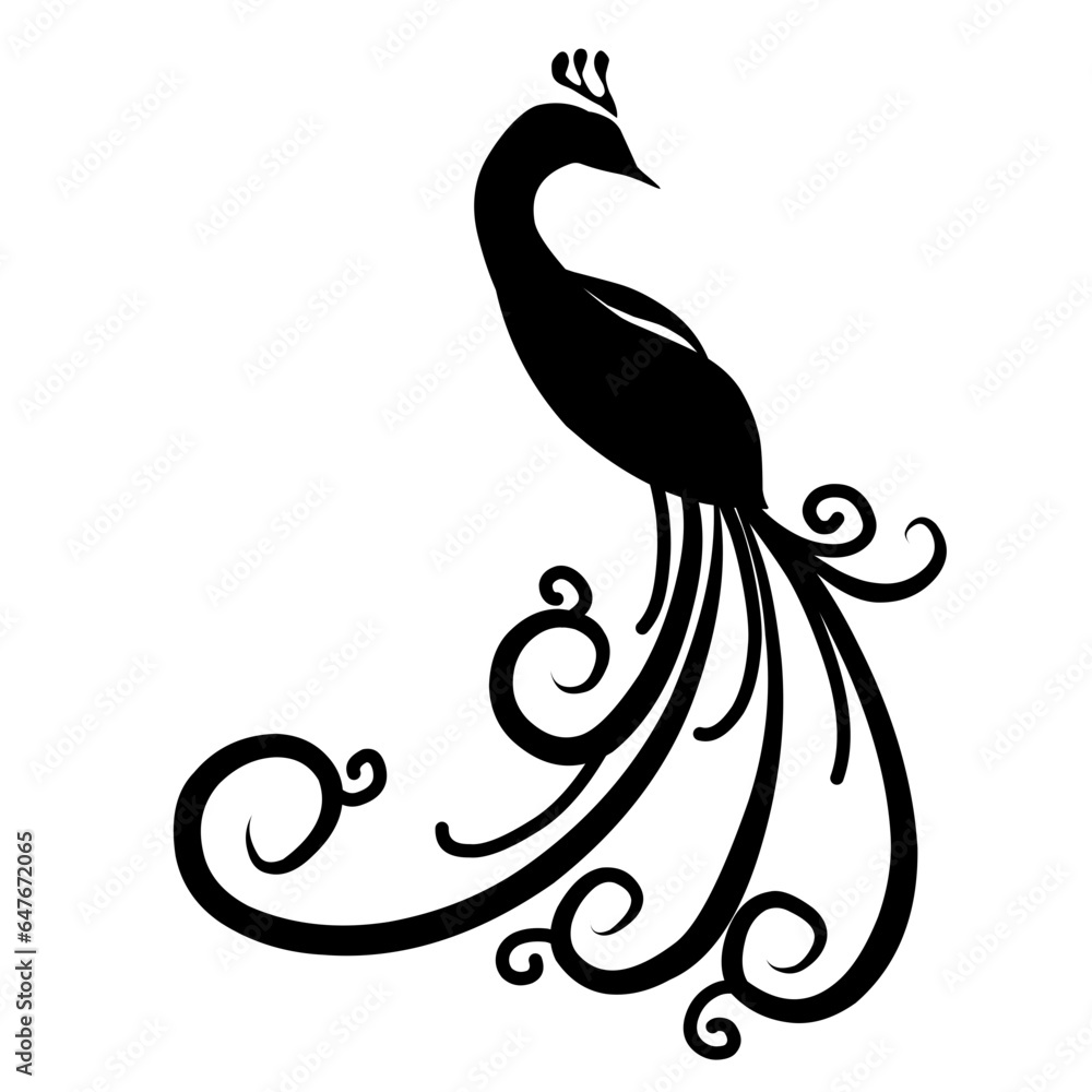 Fototapeta premium Peacock Logo 