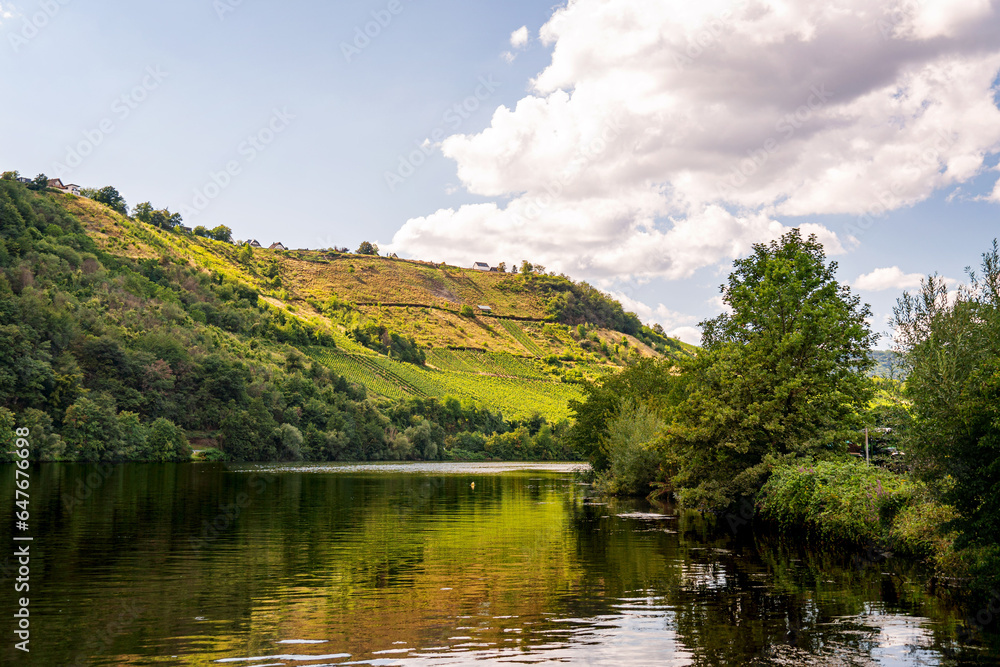 Fototapeta premium Mosel River