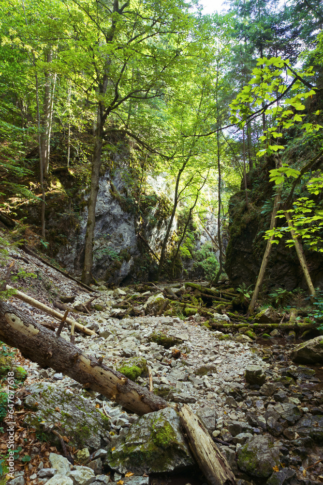 Slovnesky Raj Velky Sokol Hiking Slovakia Slovnesky Raj Velky Sokol Hiking Slovakia