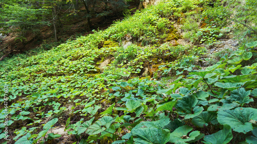 Slovnesky Raj Velky Sokol Hiking Slovakia