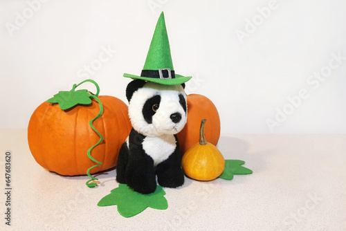 Panda plush toy in green witch felt hat sitting near orange and yellow pumpkins with cut out felt green leaves. Light gray sharpen surface and white wall background with copy space. Halloween concept photo