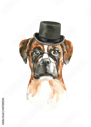 Watercolor dog breed boxer illustration, cute cool dog head hipster portrait in clothes, glasses, top hat, realistic funny dog in costume, classic, peaky blinders, sunglasses print, sticker, baby pup © Catherine