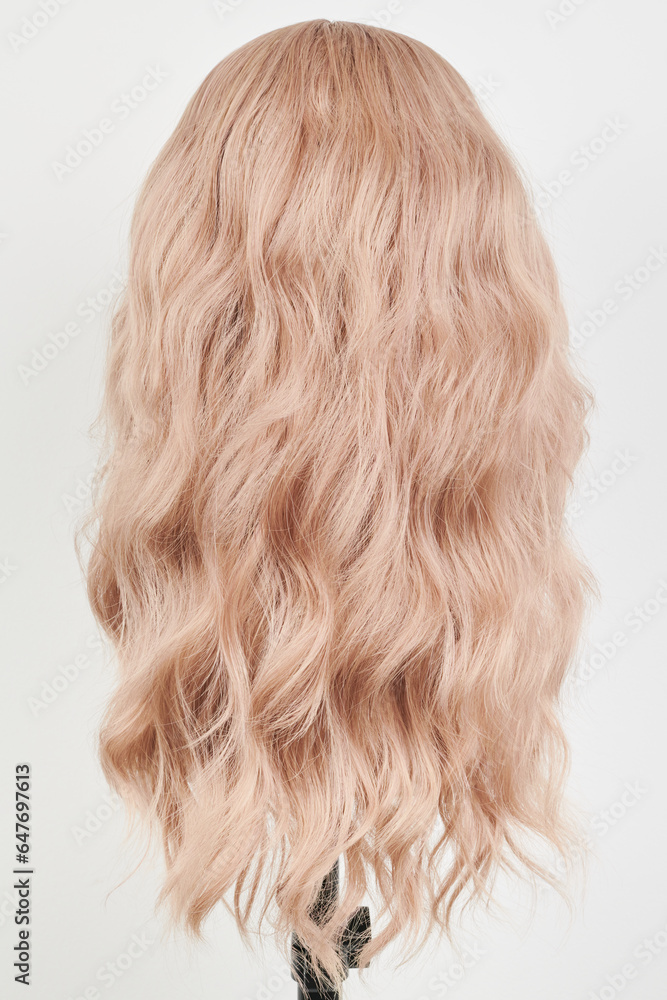 Natural looking blonde wig on white mannequin head. Long hair on the plastic wig holder isolated on white background, back view. Natural looking blonde wig on white mannequin head. Long hair on the plastic wig holder isolated on white background, back view.