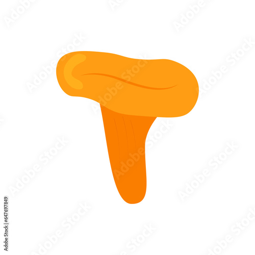 Edible chanterelle mushroom, yellow in color, flat. Autumn organic vegetarian product for menu, label, recipe, store, packaging, fall design. Vector illustration isolated on white background, eps 10.