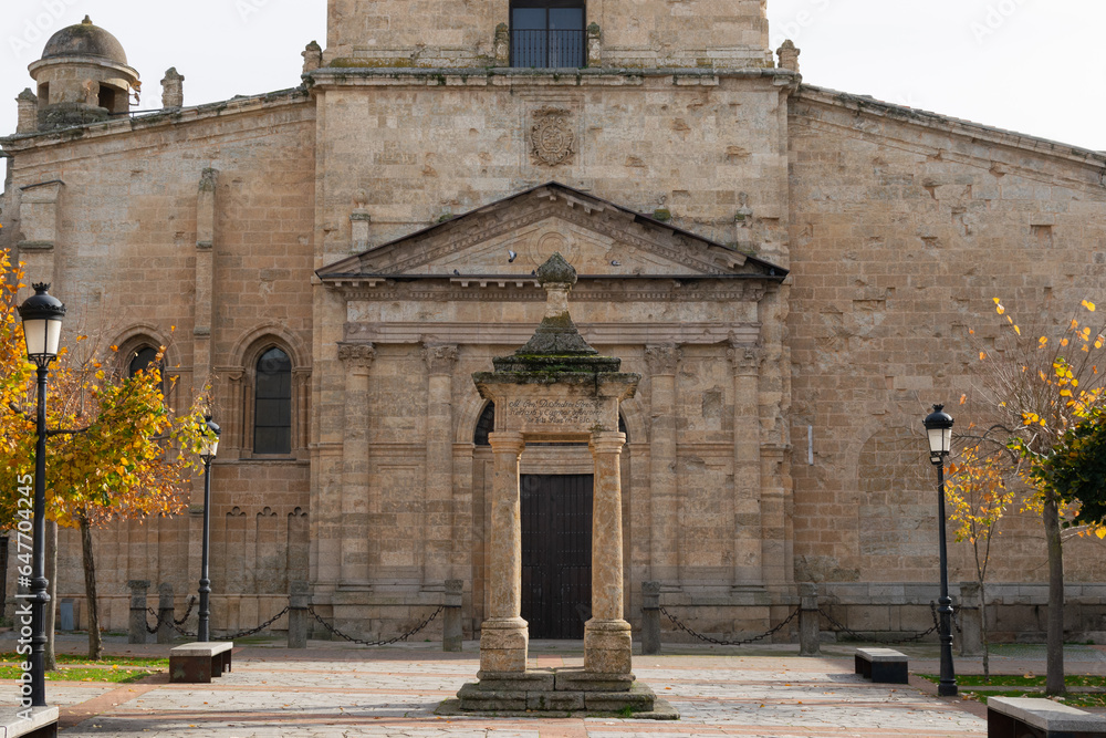 Fototapeta premium Cathedral of Santa María and Plaza del Rey in Ciudad Rodrigo.