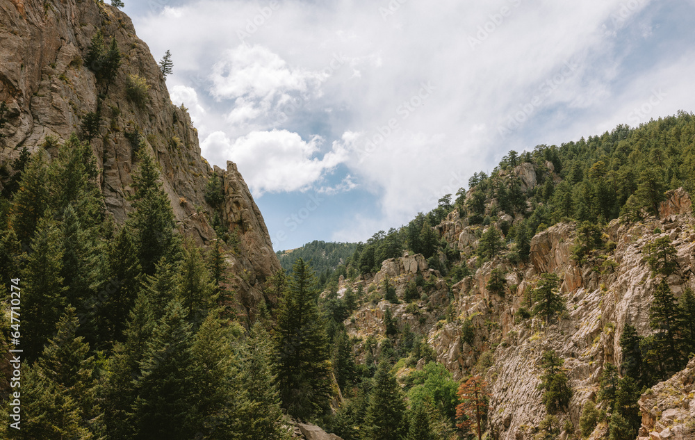 Obraz premium landscape in the mountains