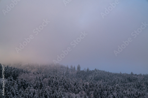 Obraz na płótnie Germany, Schwarzwald beautiful nature landscape snowy trees panorama aerial view above tree tops near freiburg im breisgau w salonie
