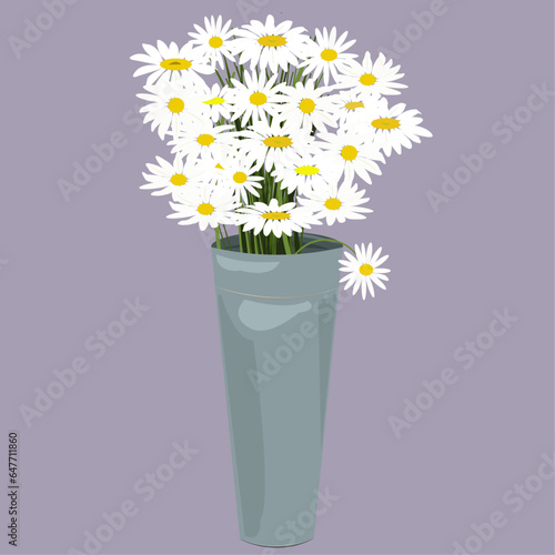 Bouquet of daisies in a vase. Spring wild flowers vector illustration isolated on white background for postcard, poster photo