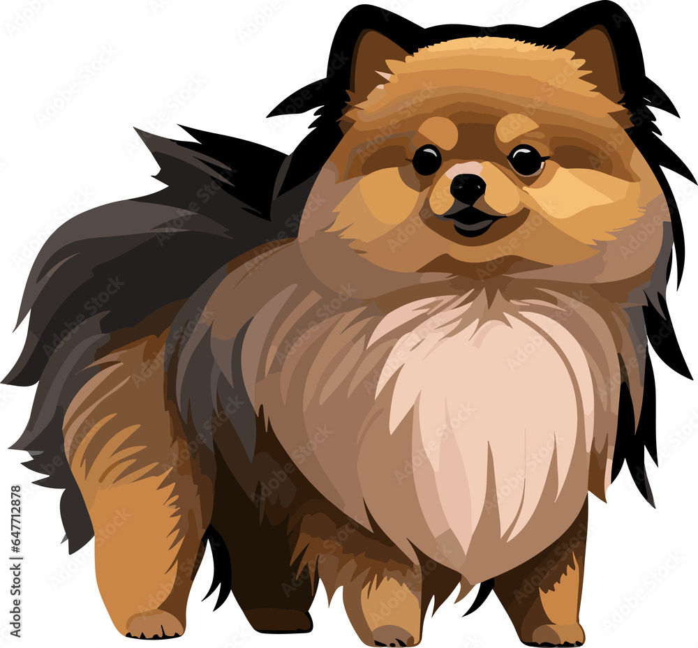 Pomeranian Cartoon Cute Dog