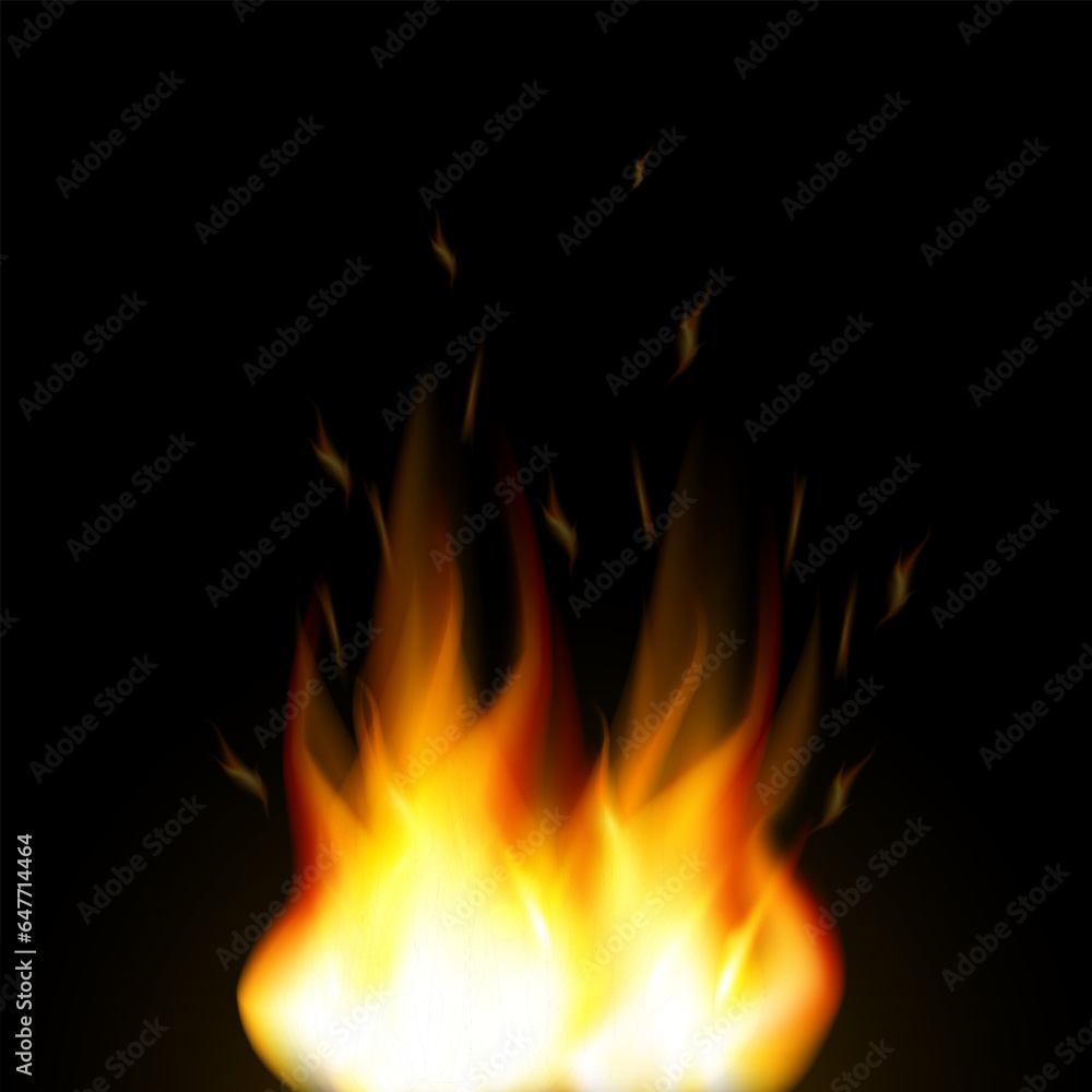 fire on black background