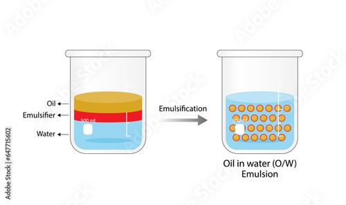 Emulsion, a mixture of two immiscible liquids (oil and water) in beakers, Emulsion oil in water, Immiscible liquids. Emulsification, emulsifier. isolated on white background. Vector illustration.