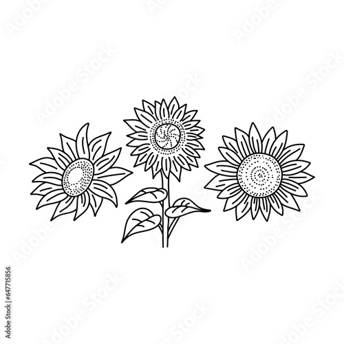 Vector Sunflowers set illustration, Black and White Floral outline set isolated on white background