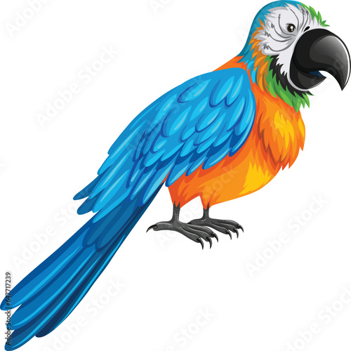 blue and yellow macaw.parrot.blue and yellow macaw ara