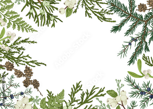 Floral horizontal frame with green forest and garden branches. Vector botanical illustration. Vintage style. Merry Christmas. © Lisla