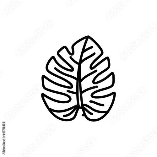 Hand draw of tropical monstera leaves. Monstera Deliciosa. Black contours isolated on a white background.