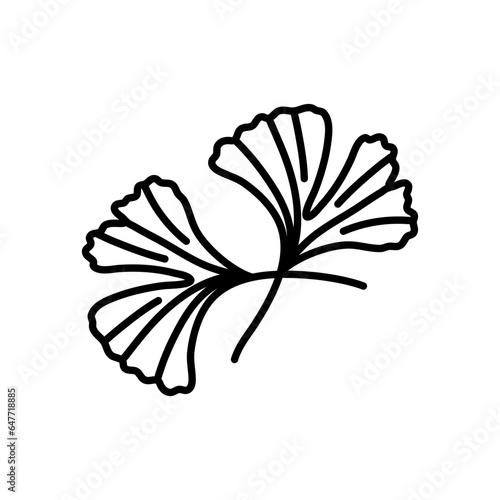 Ginkgo biloba leaf doodle hand drawn contour line. Vector herbal icon isolated on white background