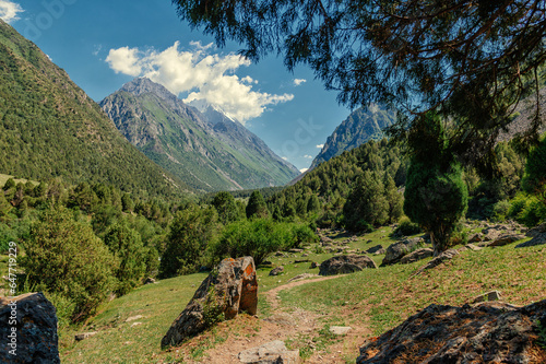 hiking in the mountains